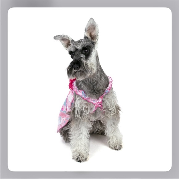 NWT Vibrant Life Dress Flamingo Pink/Blue Size Medium(21-27”chest circumference) - Picture 4 of 6